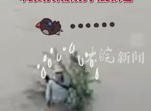 男子钓鱼时因河水上涨被困河中央，水上机器人不到5分钟完成救援