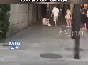 男子当街辱骂殴打两名女子 警方通报：三人相约就餐起争执 打人者已被行政拘留