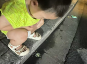 火鍋店餐桌背面涂蟑螂藥，2歲男童誤食中毒心肌損害  多方回應(yīng)