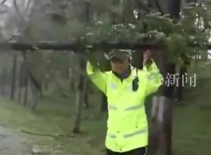台风贝碧嘉正横穿上海 浦东滴水湖12级以上强风 多地高铁航班取消、外卖停送