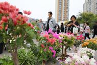 淮南市八公山區(qū)舉辦旅游節(jié)（圖）