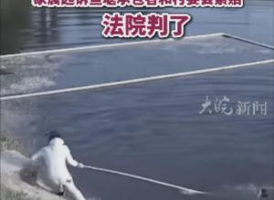 男子去鱼塘钓鱼带上了8岁儿子 
儿子落水父亲救子溺亡 
家属起诉鱼塘承包者和村委会索赔 
法院判了