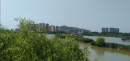 荊山鎮：湖光水韻展新姿