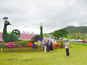 “打卡”尖山湖逸趣園