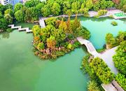 巢湖城市公園成為老年人“休閑驛站”