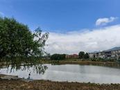 宜秀區(qū)大龍山鎮(zhèn)總鋪社區(qū)：“一事一議”惠民生 鄉(xiāng)村振興展幸福