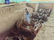 西安一考古工地發(fā)掘古墓葬3000余座，車馬坑30多座