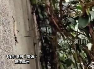 男子离家10年后回到老房子，发现东西一碰就碎 感叹时间的力量，网友：房子没人气了 东西很快就坏