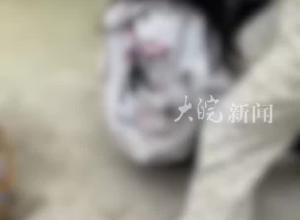 初中女生在楼顶遭多人围殴  警方通报：3名主要违法行为人均已到案
