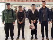 40人落網(wǎng)！蕪湖鏡湖警方摧毀特大“緬北回流”犯罪團(tuán)伙