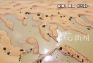 撒哈拉沙漠發洪水？當地人：已有三五十年未見