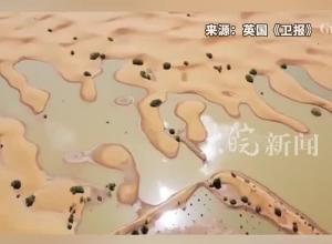 撒哈拉沙漠发洪水？当地人：已有三五十年未见