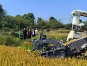 樅陽縣官埠橋鎮人大代表積極督查秋收秋種工作