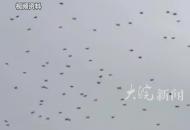黎巴嫩再向以色列發射無人機群，承認襲擊內塔尼亞胡私宅，“不會在戰事持續之際同以色列談判”