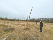 震驚！北京一村莊數百畝土地竟成垃圾場，新植樹苗大批死亡