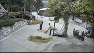 宜秀區羅嶺鎮黃梅村：雨中搶收稻谷，鄰里相助暖心