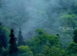 9人擅自进入哀牢山捕猎被提起公诉 
涉嫌非法制造枪支、非法狩猎等 
