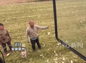 玉米成熟晚没赶上统一收割，99年女生开农机帮忙抢收，“被村里人需要 很有成就感”