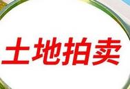 省府东板块将出让5宗低密度地块！合肥10月底土拍来了  