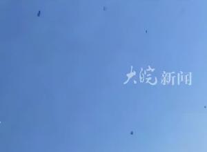 当地居民正拍摄以色列铁穹防空系统拦截黎巴嫩真主党发射的导弹不料一枚火箭弹突破铁穹，正好掉在头顶
近四分之一以色列人考虑离开该国
