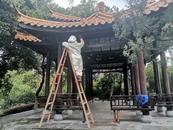民生提醒：有胡蜂出没 合肥市逍遥津公园逍遥墅区域临时封闭