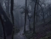 “禁區”變“景區”？云南哀牢山一夜爆火，到底什么來頭？當地發布安全提示！