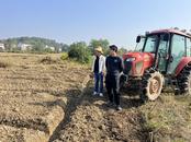樅陽縣官埠橋鎮：人大代表積極助力秋收秋種工作