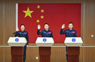 同框亮相！“龍馬組合”簡歷公布