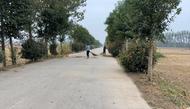 蕭縣新莊鎮鐵佛村：秸稈清理與環境整治齊頭并進