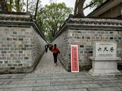 六尺巷是弘揚傳承傳統文化的典范   桐城將把更多文化名片擦得更亮
