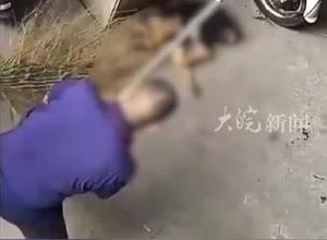 湖北一高校两名保安 校园内打死“流浪狗” 校方通报：停职调岗 