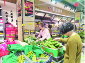 阜陽本地菜批量上市