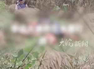 山东惠民县李庄镇一金店被盗，嫌疑人把黄金扔水里了？警方：是打捞别的东西，案件正在调查