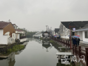 “我從包公家鄉(xiāng)來(lái)”寧波行：采訪團(tuán)走訪河姆渡鎮(zhèn) 共話文化旅游特色小鎮(zhèn)發(fā)展