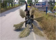 濉溪縣百善鎮：秸稈清理除隱患  人居環境再提升