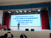 啟迪智慧，共筑物理可視化教學新篇章