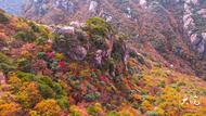 彩林染深秋 秋色美如畫(huà)！九華山花臺(tái)景區(qū)進(jìn)入最佳賞秋季