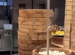 广州一饭店后厨老鼠趴蒸笼上啃包子，多方回应：全面销毁 全面消杀，市场监督管理局进行立案调查