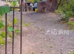 账号7天未更新 道歉视频已删除，网友探访东北雨姐拍摄基地，称已人去房空 锅里发现污秽物