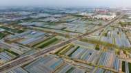 蚌埠：政府搭橋，多方聚力