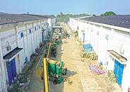 巢湖市秋糧收購工作全面展開