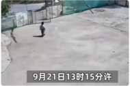 甘肅走失2歲女童甜甜確認遇難