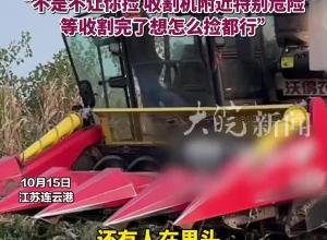 农户收割王米村民拿着麻袋贴脸捡漏，村书记亲自下田温柔劝导劝离：不是不能捡，但不能拿生命开玩笑啊