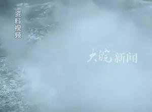 已依法立案，采取刑事强制措施
