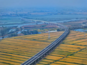 西淝河特大橋通車在即