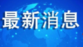 日本执政联盟未能获得众议院过半数议席  分析称石破茂很可能成为日本最“短命”首相之一