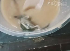 顾客称路边摊买胡辣汤吃出死老鼠 
河南当地回应：购买者回家曾打开盖子
 “老鼠躯体完整，不像烹煮过”