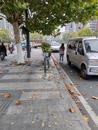 強冷空氣11月16日傍晚抵皖，安徽將自北向南氣溫“大跳水”