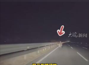 凌晨高速车道惊现逆行路人 
电车智驾紧急避让擦肩而过
