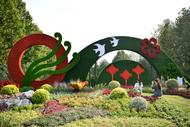 合肥國慶花展獲獎名單出爐！濱湖新區(qū)三處“榜上有名”